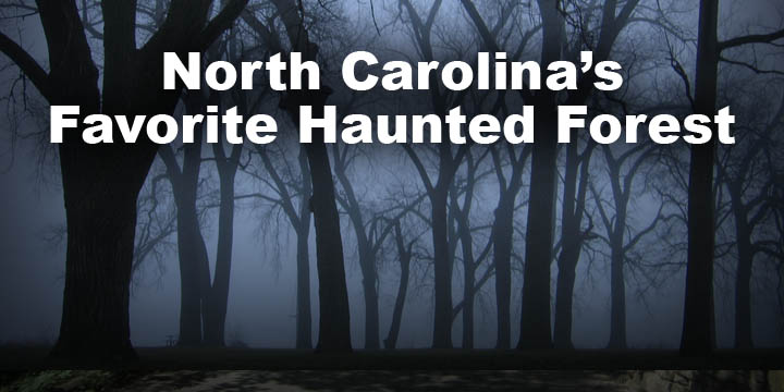 Spooky and safe: How some haunted attractions are operating during COVID-19  - GREENVILLE JOURNAL